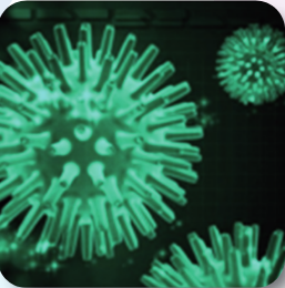 ¿Qué es la infección genital por herpes?